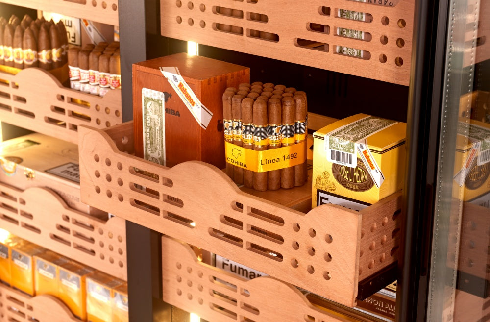 How to Choose a Cigar Humidor? Complete Cigar Storage Buying Guide