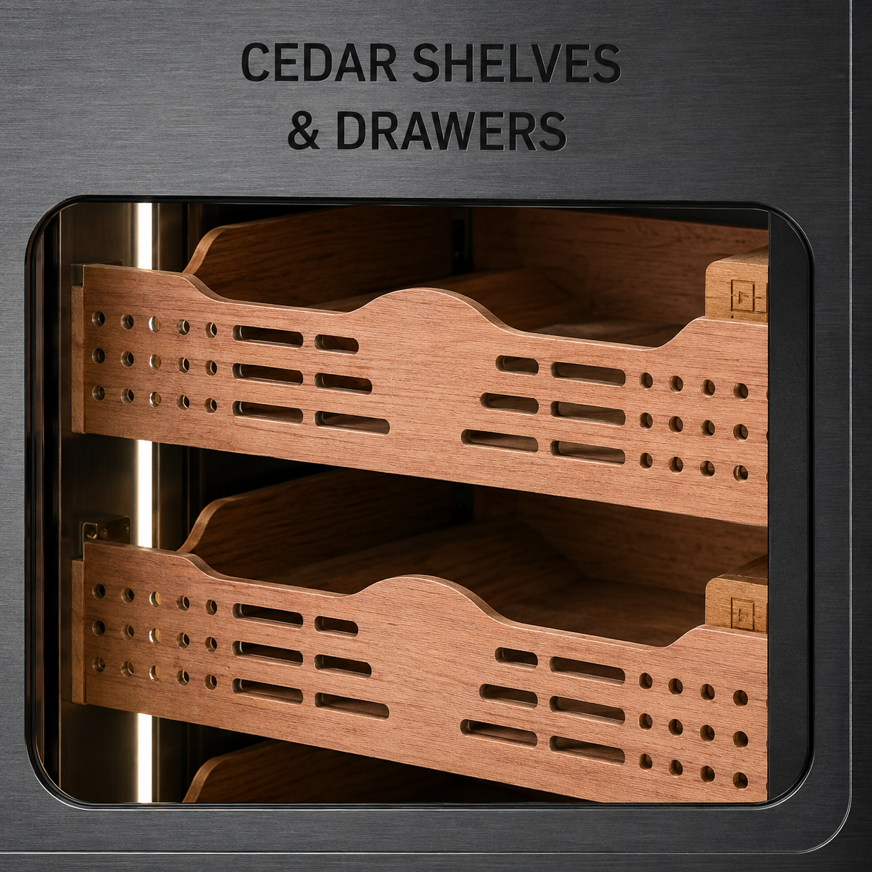 Balans BXW-220 220L Spanish Cedar Humidor | 600-1000 Count