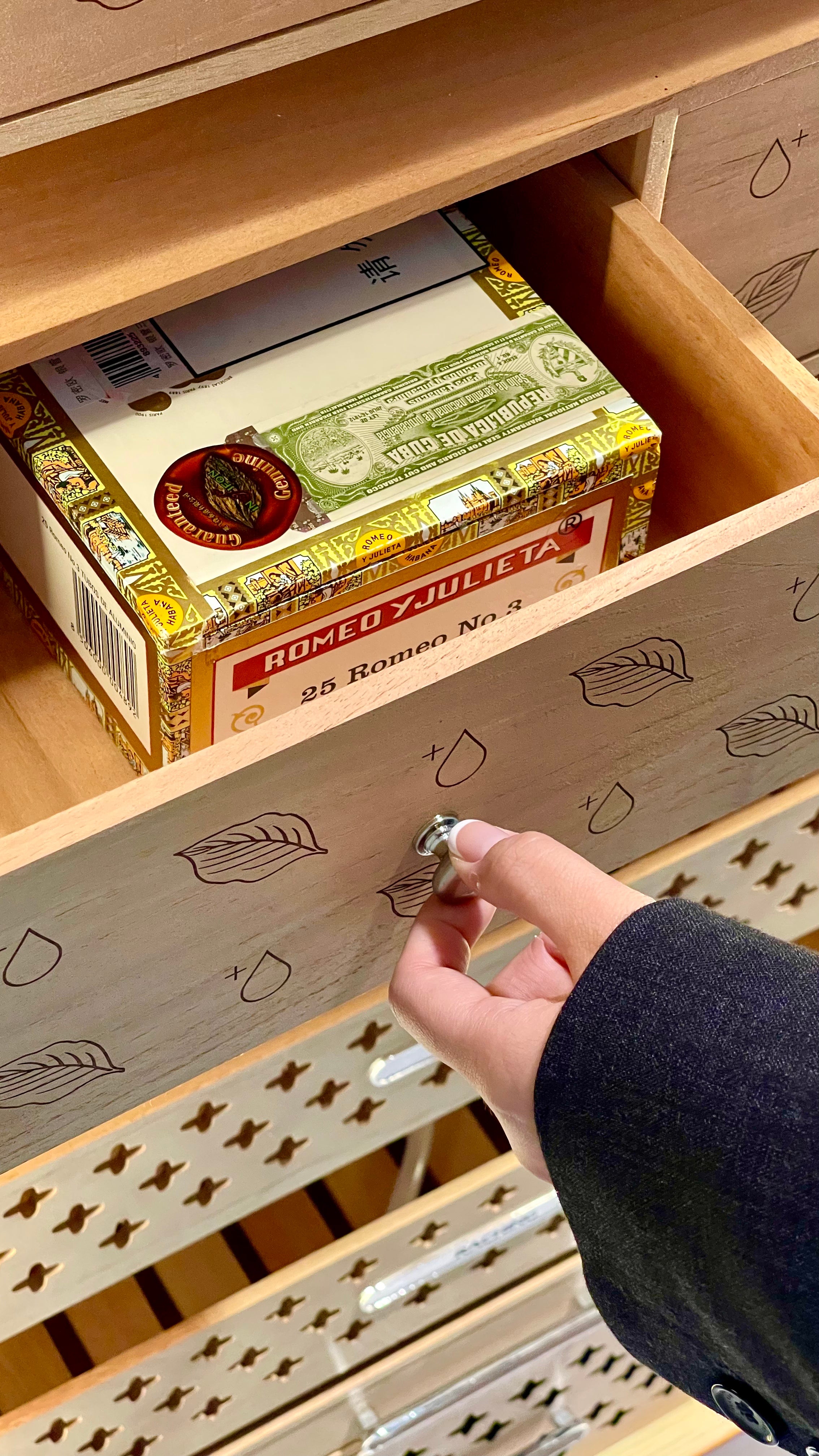 Raching RR980 Cigar Humidor