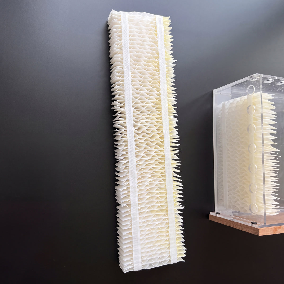 BALANS cigar humidor replacement filter with transparent housing and moisture-absorbing pleated inserts